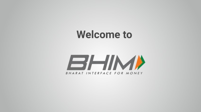 bhim-insights-success