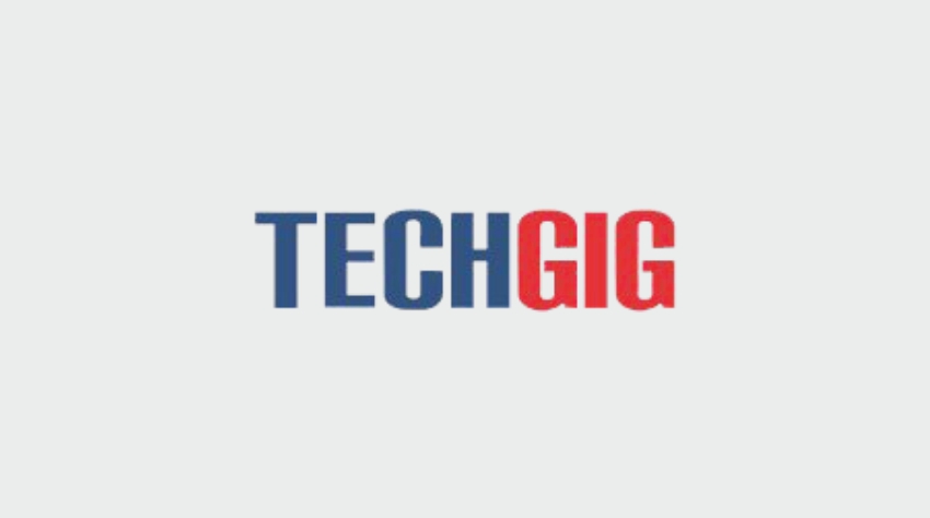 TECHGIG | Insights Success