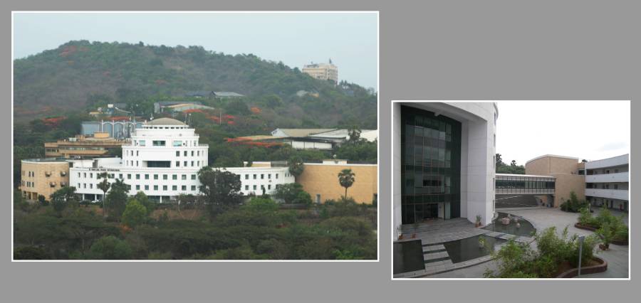 Whistling Woods International